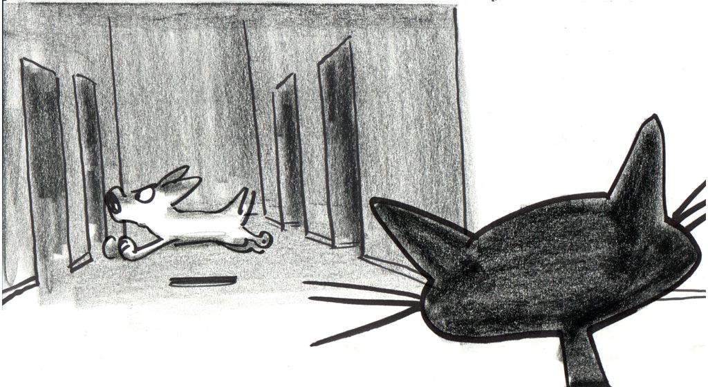 Storyboard sketch of a cat watching a dog run around inside a house